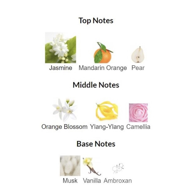 پرفیوم زنانه جوردانی گلد اسنزا بلاسم - Image 4