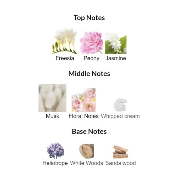 پرفیوم زنانه آل اور ناتینگ یونیک آکورد - Image 3