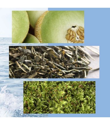 ادوتویلت مردانه اکسایت - Image 3