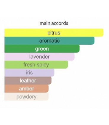 ادوتویلت مردانه اکلت توجورز اوریفلیم Oriflame Eclat Toujours Eau de Toilette - Image 3