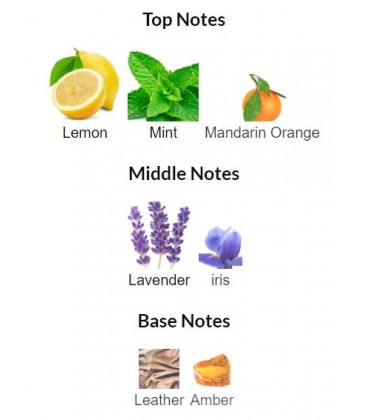 ادوتویلت مردانه اکلت توجورز اوریفلیم Oriflame Eclat Toujours Eau de Toilette - Image 4