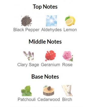 ادوتویلت مردانه دبونایر جنتلوود - Image 3