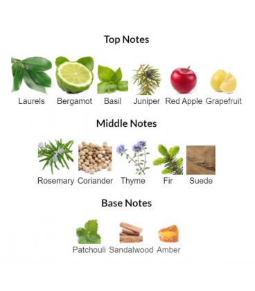 ادوتویلت مردانه سول با رایحه خنک و ترش Soul EdT اوریفلیم Oriflame - Image 3