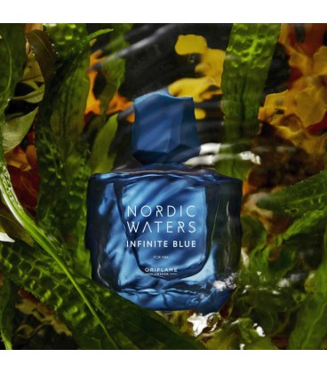 ادوپرفیوم مردانه نوردیک واترز اینفینیت بلو Nordic Waters Infinite Blue - Image 2