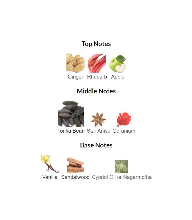 ادوپرفیوم مردانه لاست این یو - Image 4