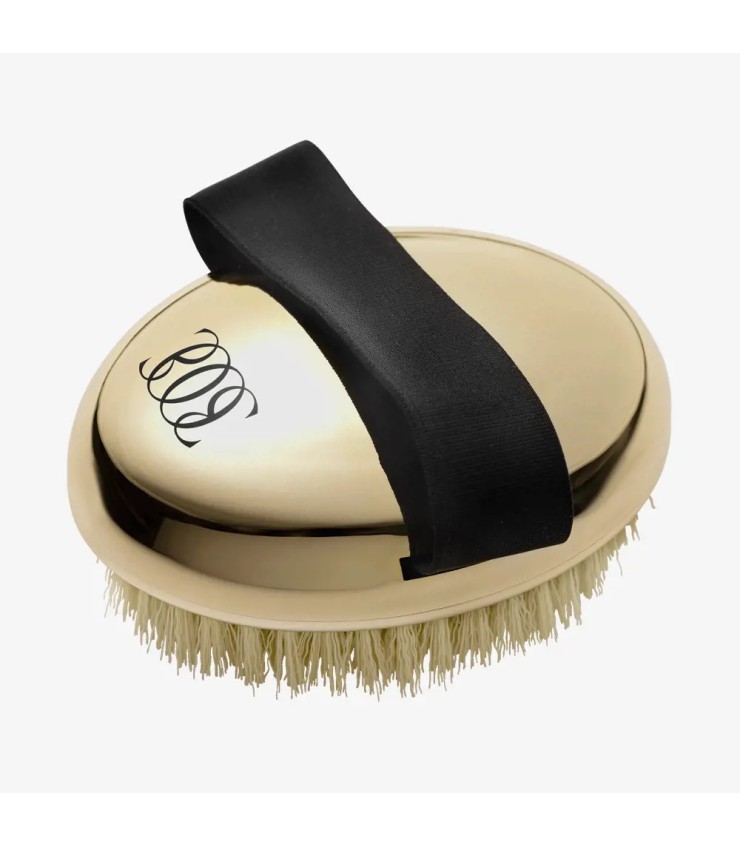 برس خشک بدن گلدن اکسکلوسیو