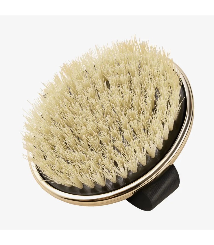 برس خشک بدن گلدن اکسکلوسیو - Image 3